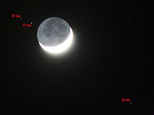 Luna cinerea prossima occultazione stella 37 Tau